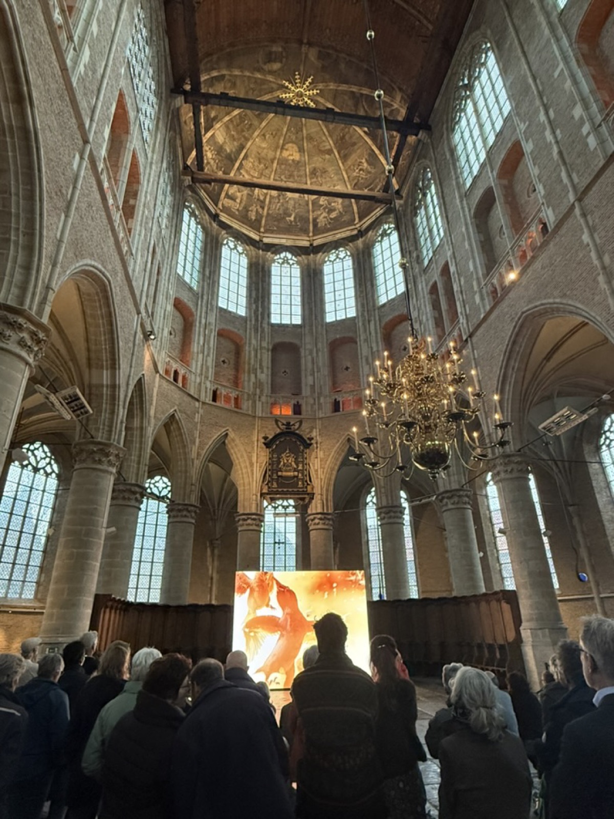 Grote Kerk Alkmaar — Birdcage by David Claerbout